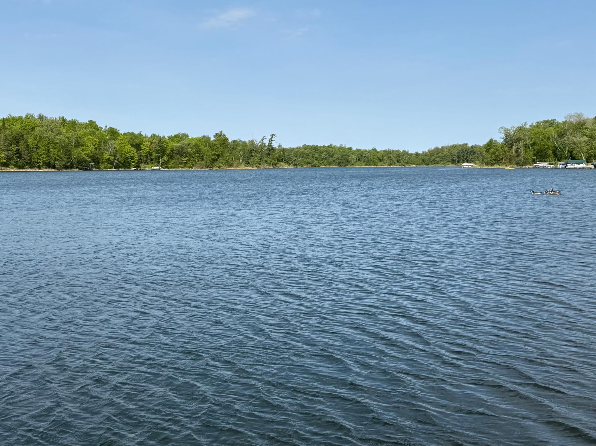 30111 Tageto Road Ogema, MN 56569 - Photo 12 of 61