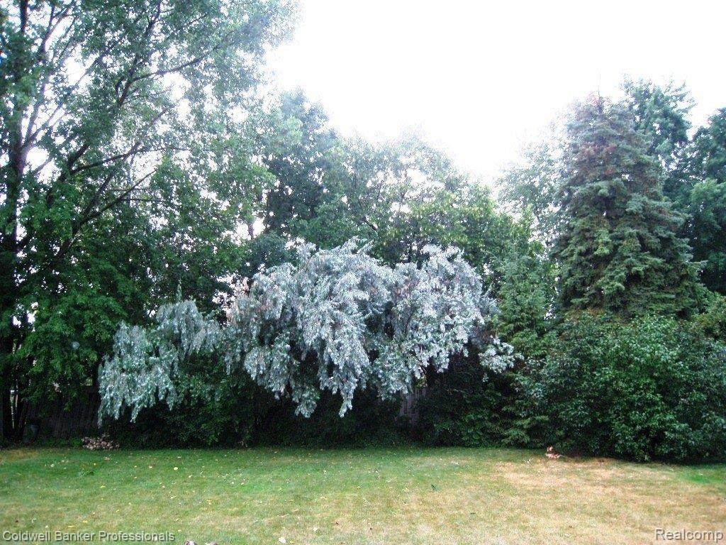 1715 Ranier Street Canton, MI 48187 - Photo 10 of 10 Backyard