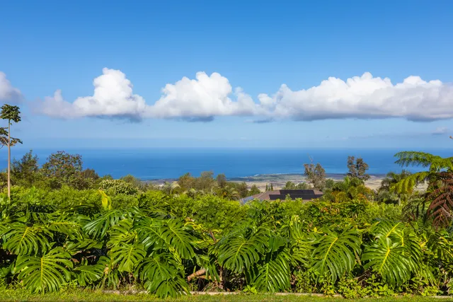 an aerial view of a house with swimming pool and garden