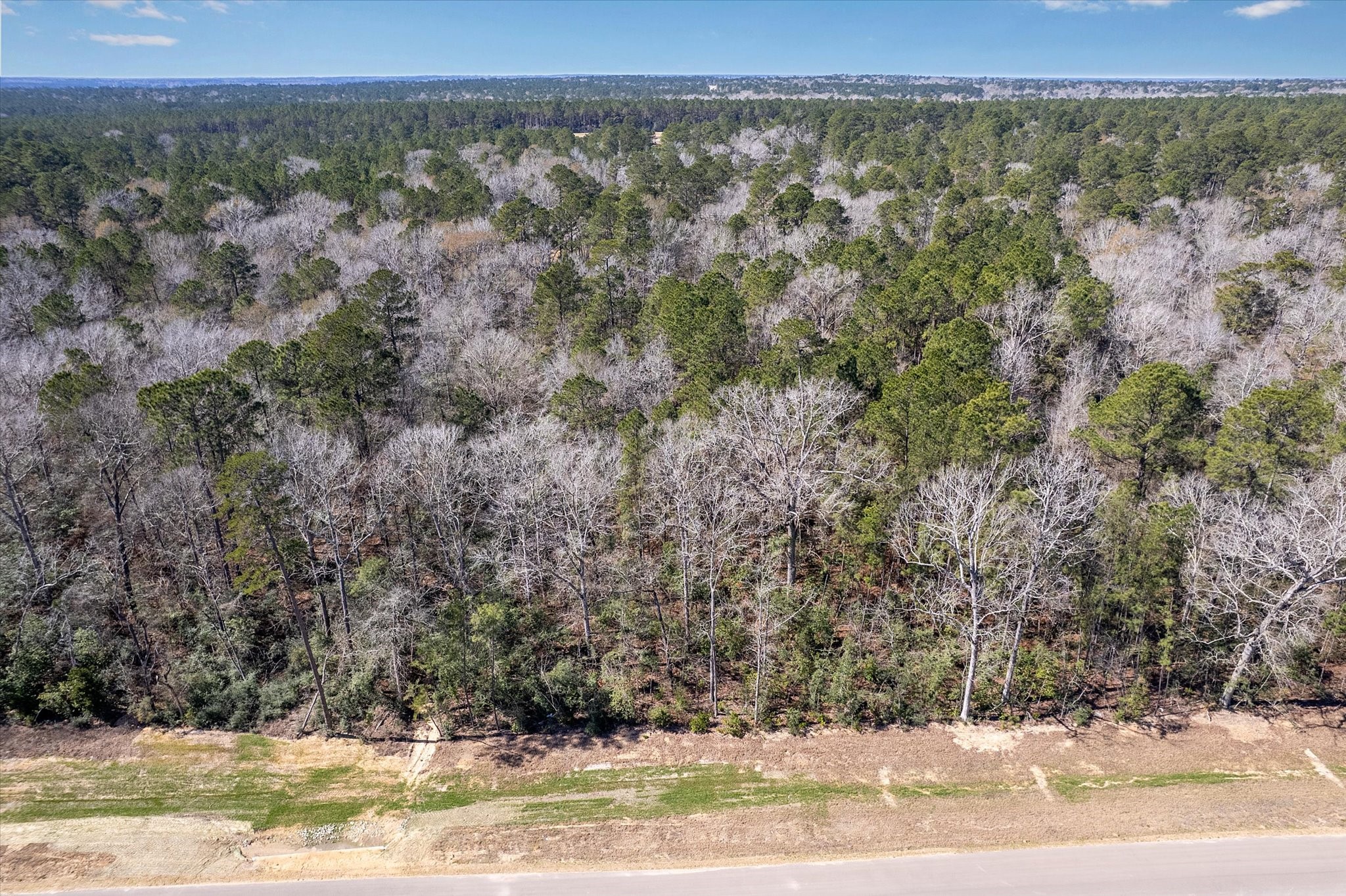 16169 Ridge Oak Road Willis, TX 77378 - Photo 2 of 9