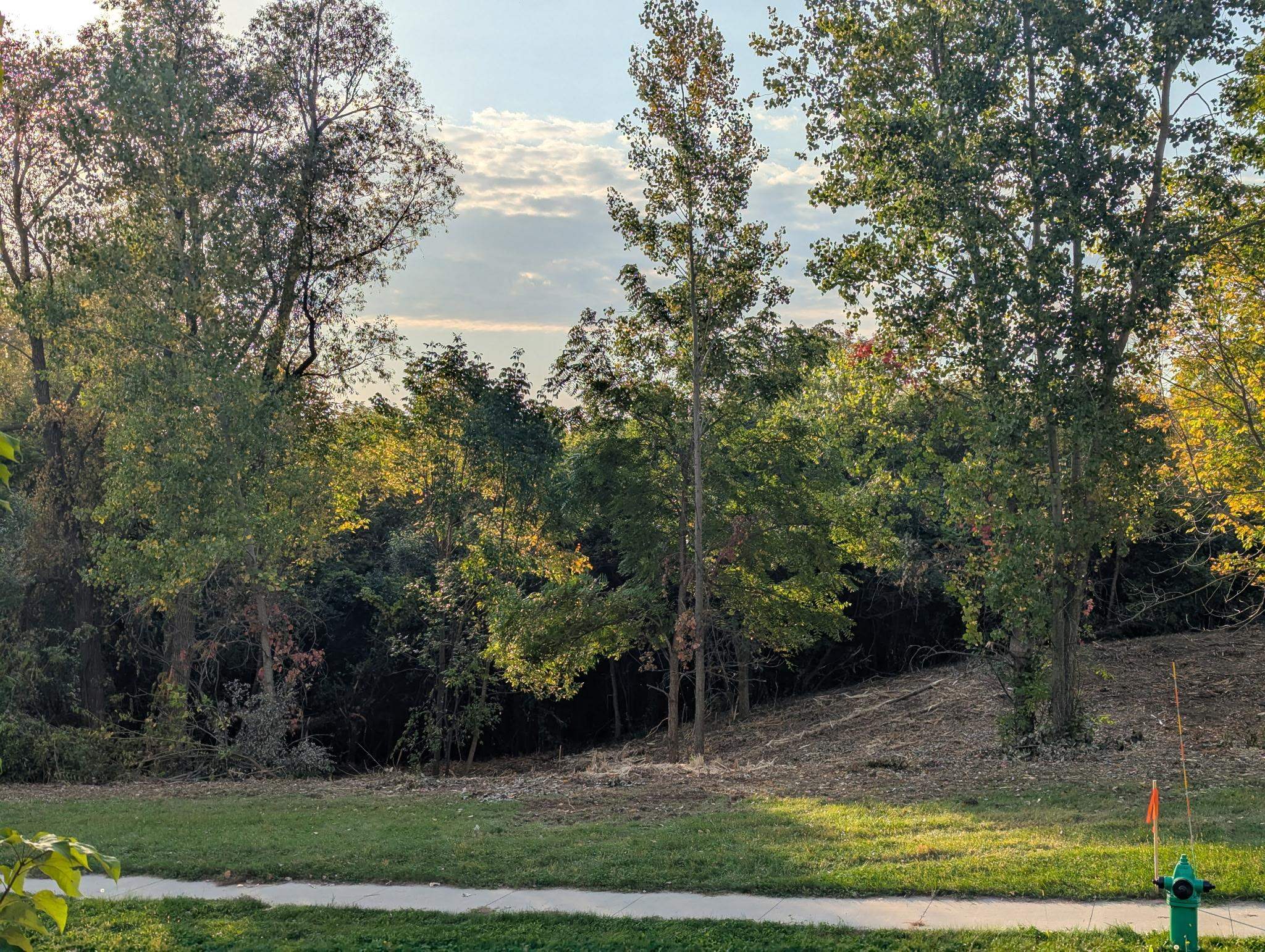 Incline Way Appleton, WI 54913 - Photo 6 of 11