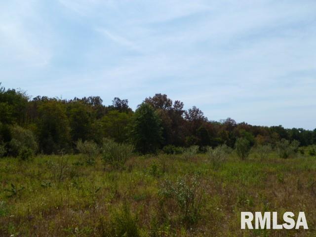 0 Jamison Road Alma, IL 62807 - Photo 3 of 9