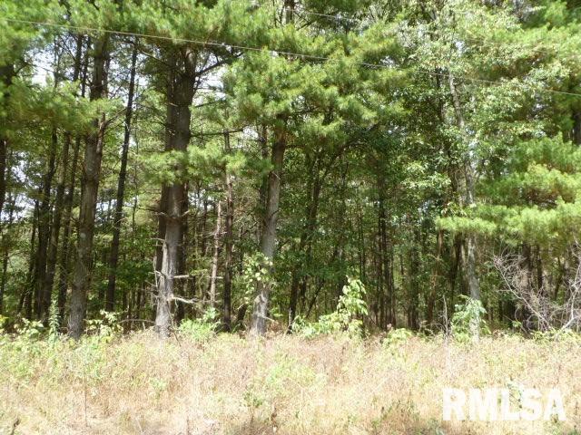 0 Jamison Road Alma, IL 62807 - Photo 5 of 9