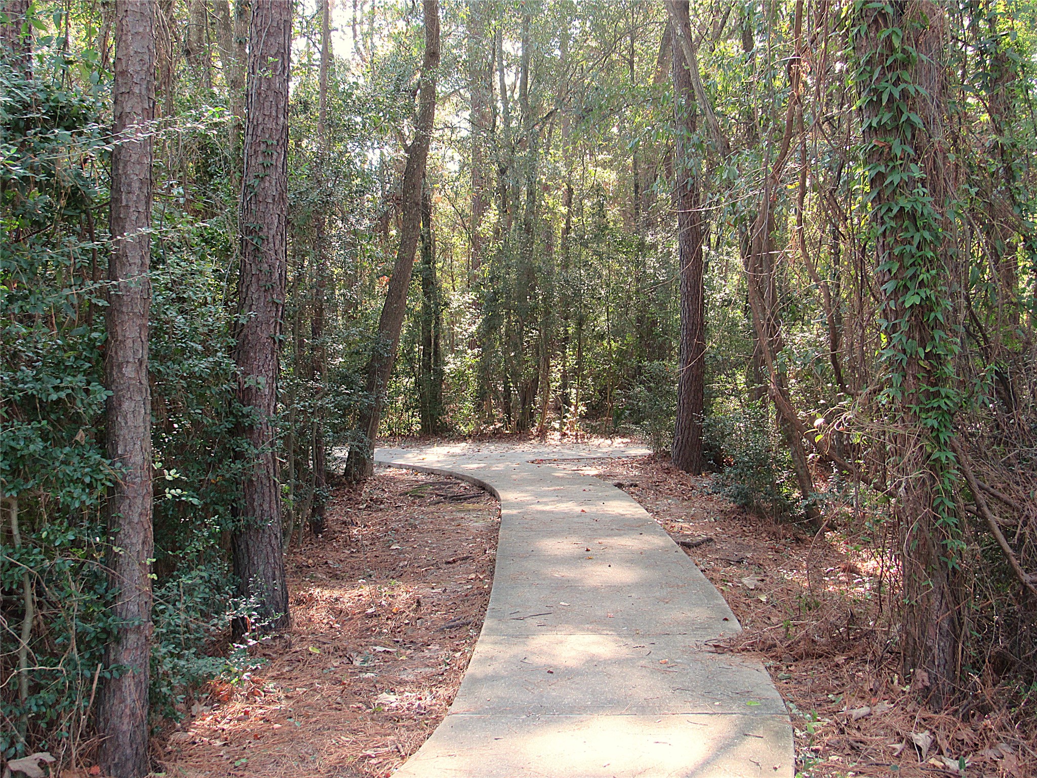 12434 Fossil Point Lane Humble, TX 77346 - Photo 43 of 50