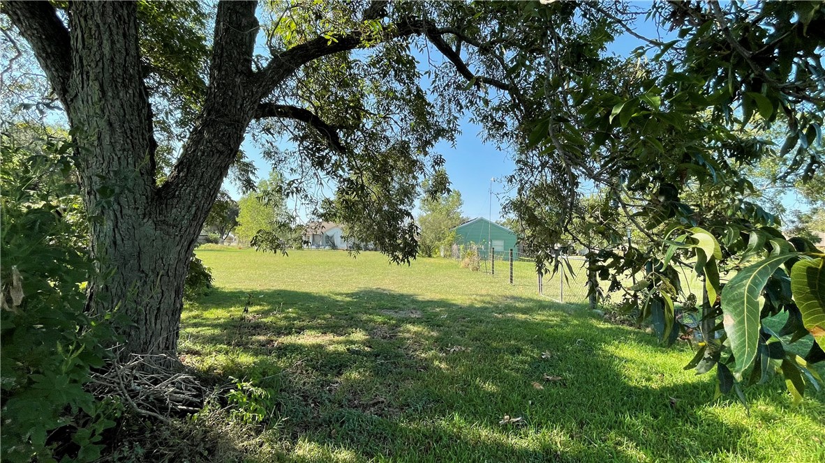 704 Colorado Street Bremond, TX 76629 - Photo 24 of 42 a view of yard with trees