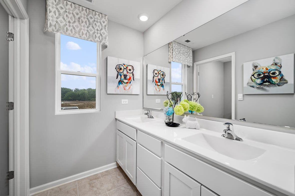 2652 Camelback Drive Pingree Grove, IL 60140 - Photo 20 of 42 a bathroom with a sink mirror and vanity