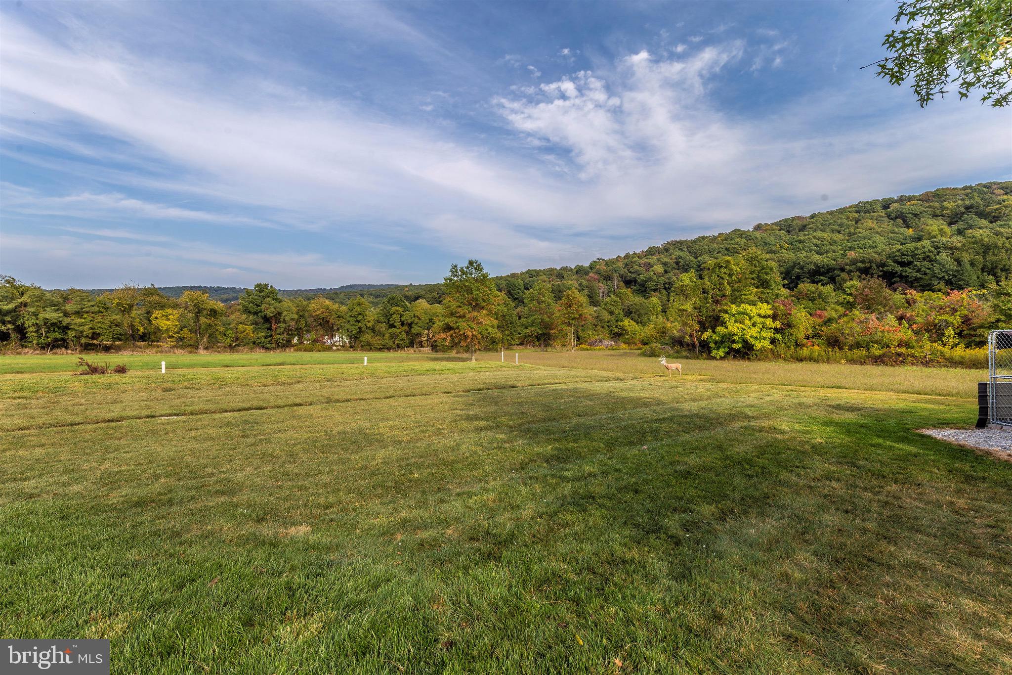 14450 Edgemont Road Smithsburg, MD 21783 - Photo 50 of 55 Gallery Image 50