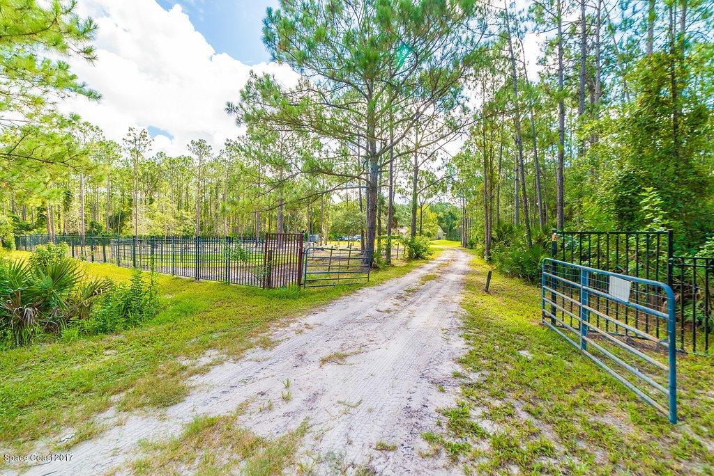 991 Wild Pine Road Mims, FL 32754 - Photo 11 of 51 JCP_0429-HDR
