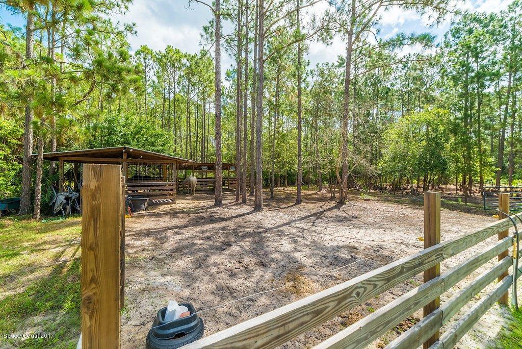 991 Wild Pine Road Mims, FL 32754 - Photo 39 of 51 JCP_0459-HDR