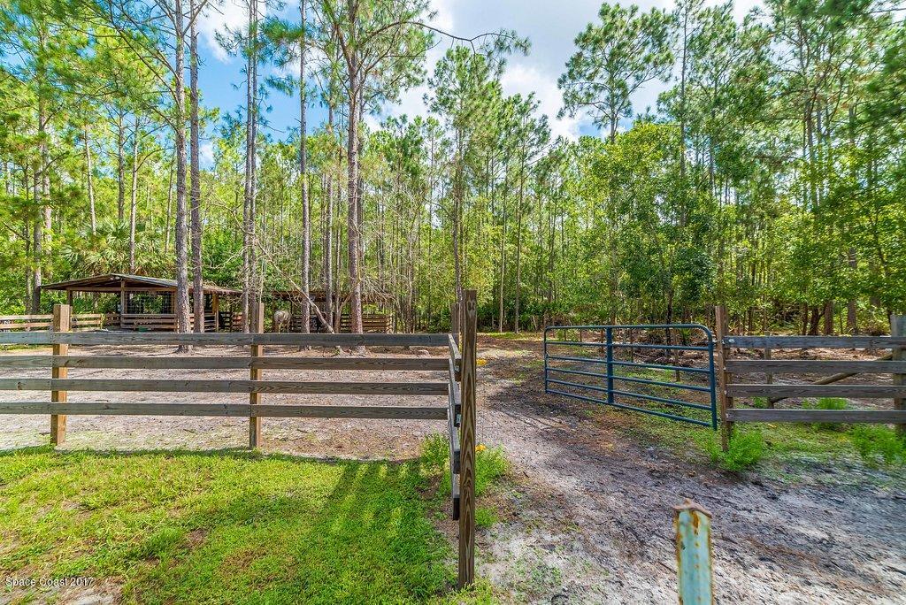 991 Wild Pine Road Mims, FL 32754 - Photo 40 of 51 JCP_0462-HDR