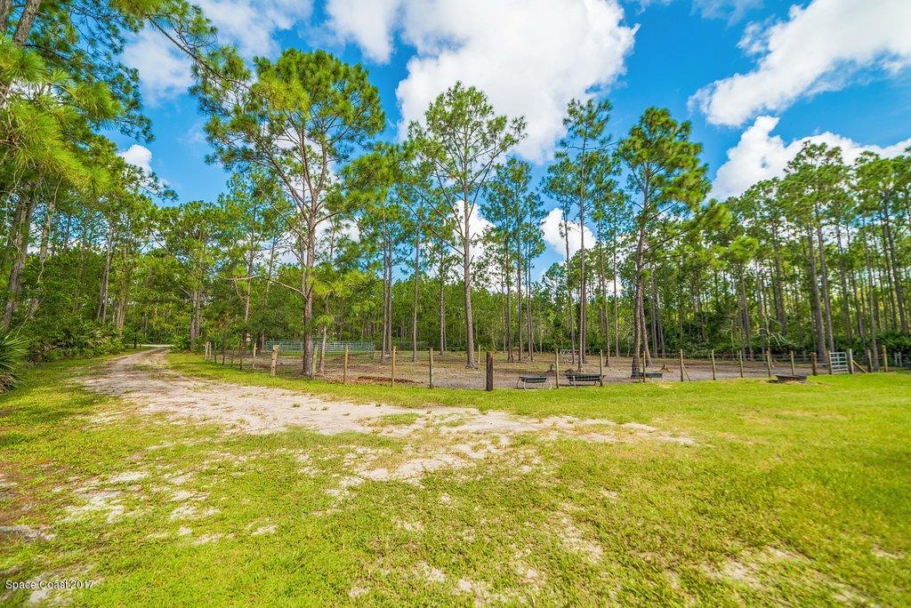 991 Wild Pine Road Mims, FL 32754 - Photo 43 of 51 JCP_0441-HDR