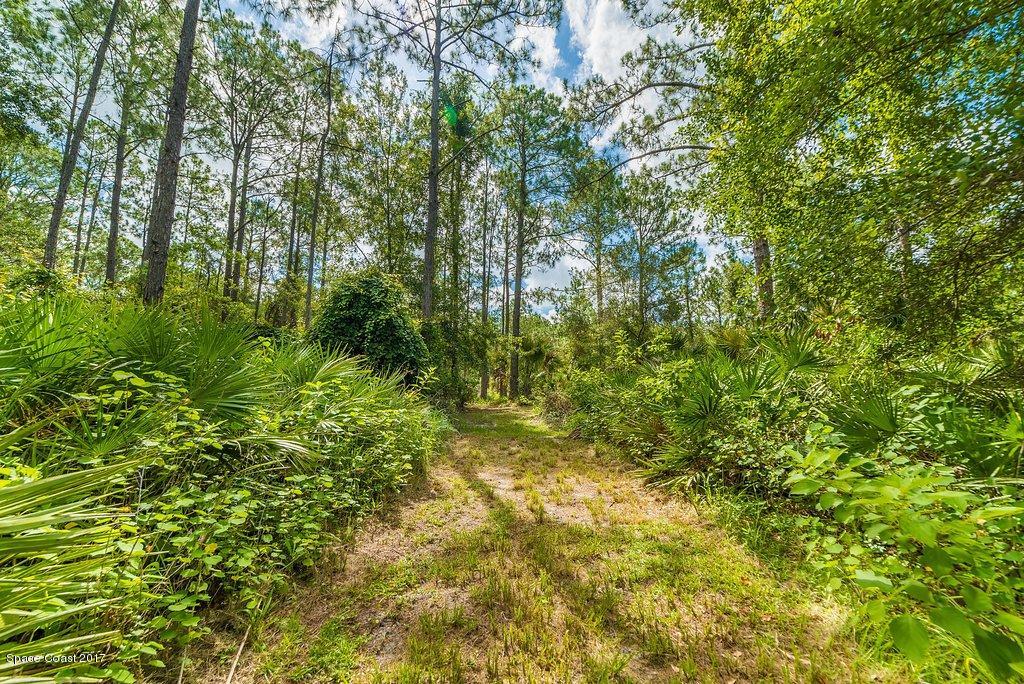 991 Wild Pine Road Mims, FL 32754 - Photo 44 of 51 JCP_0471-HDR