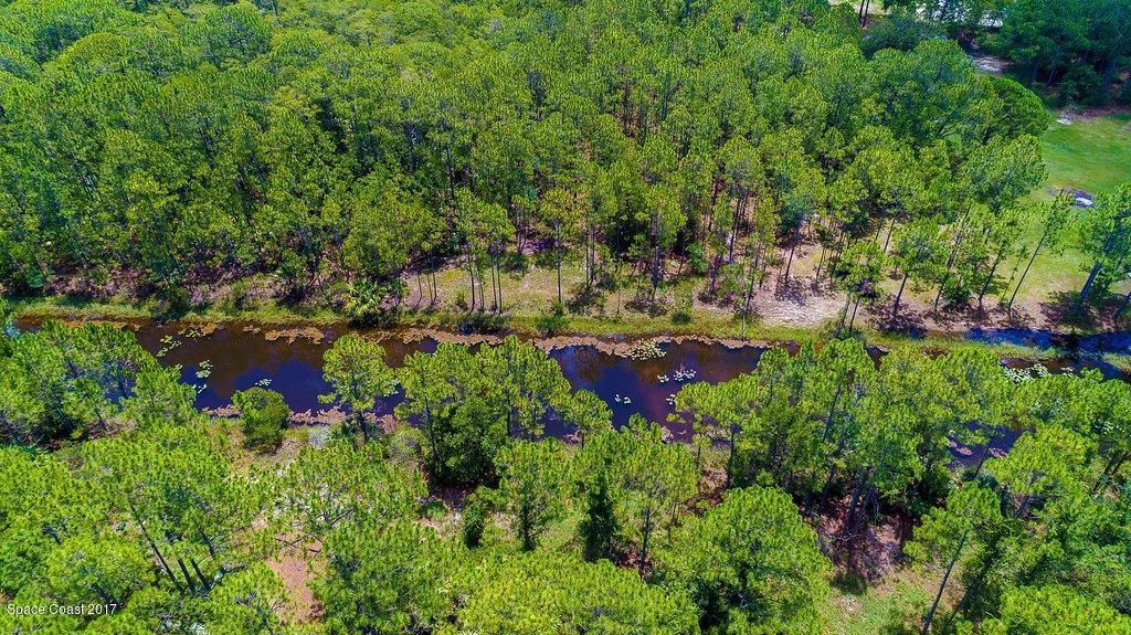 991 Wild Pine Road Mims, FL 32754 - Photo 46 of 51 DJI_0017