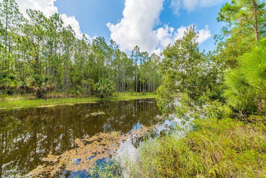 991 Wild Pine Road Mims, FL 32754 - Photo 47 of 51 JCP_0477-HDR