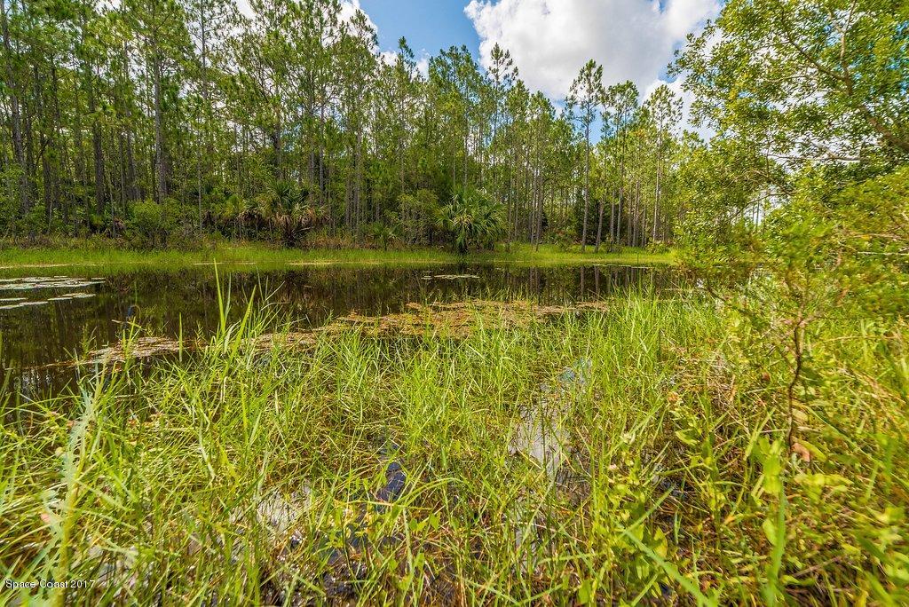 991 Wild Pine Road Mims, FL 32754 - Photo 48 of 51 JCP_0474-HDR