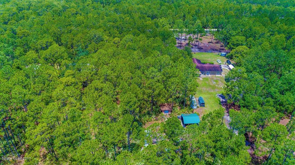 991 Wild Pine Road Mims, FL 32754 - Photo 49 of 51 DJI_0018