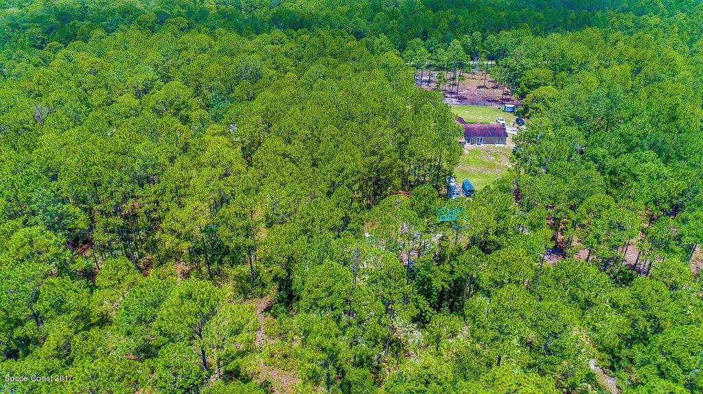 991 Wild Pine Road Mims, FL 32754 - Photo 50 of 51 DJI_0019