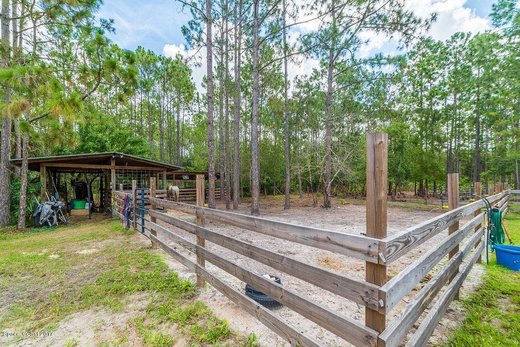 991 Wild Pine Road Mims, FL 32754 - Photo 9 of 51 JCP_0486-HDR