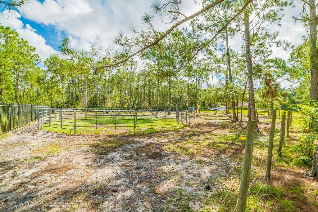 991 Wild Pine Road Mims, FL 32754 - Photo 10 of 51 JCP_0438-HDR