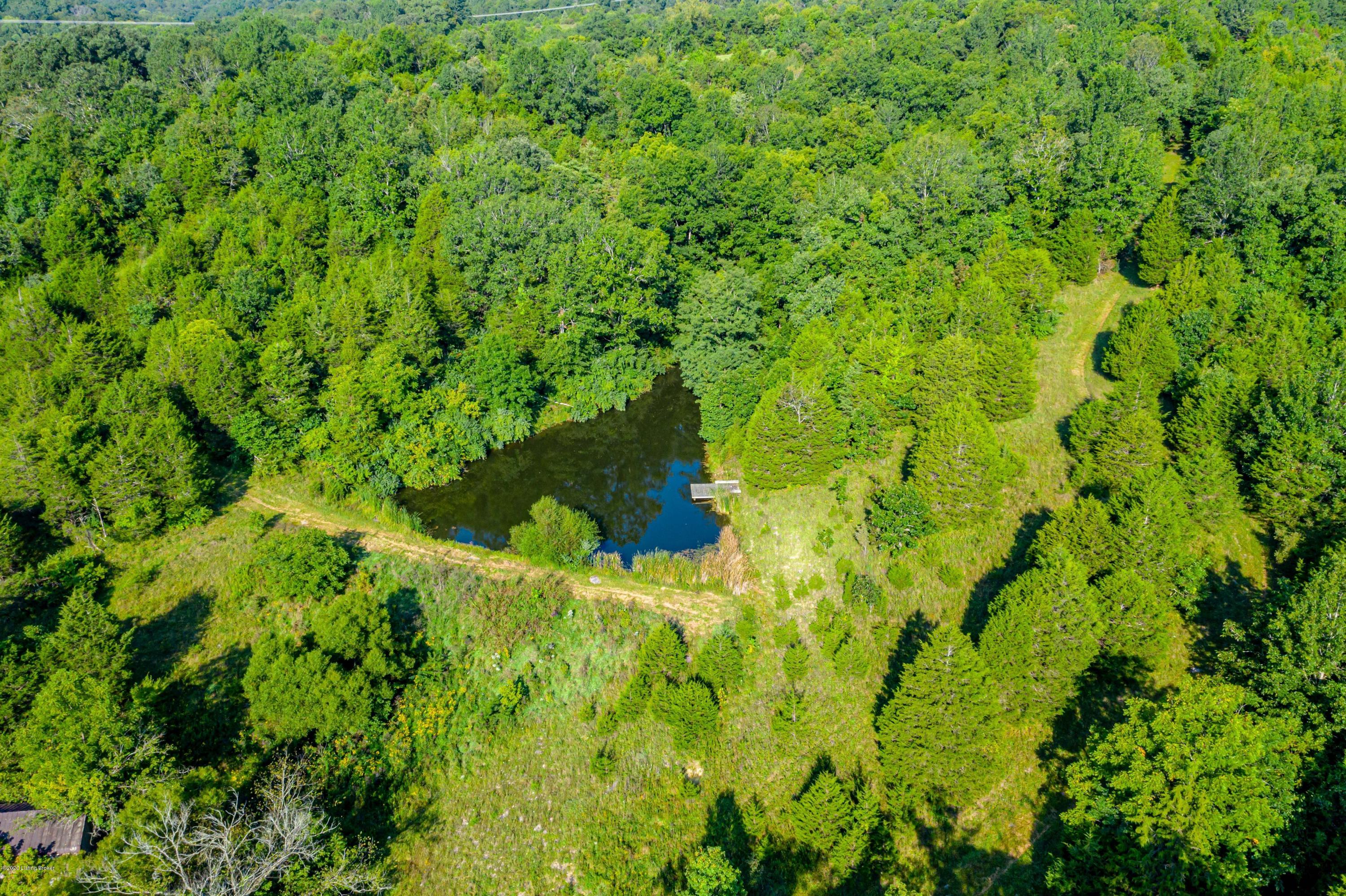 901 Goose Creek Road Bagdad, KY 40003 - Photo 5 of 28 aerial pond