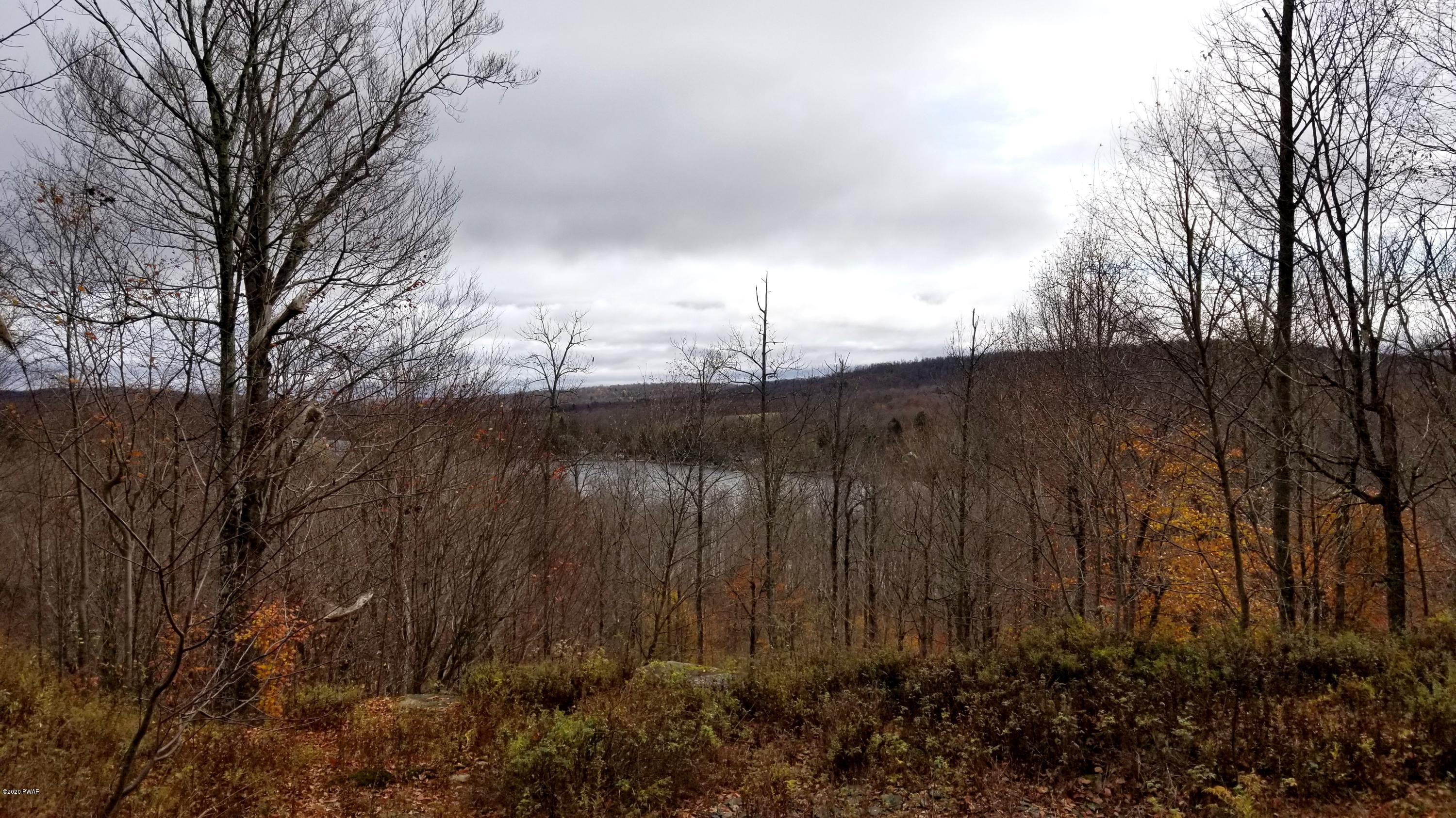 Lot 63 Old Woods Road Equinunk, PA 18417 - Photo 19 of 63