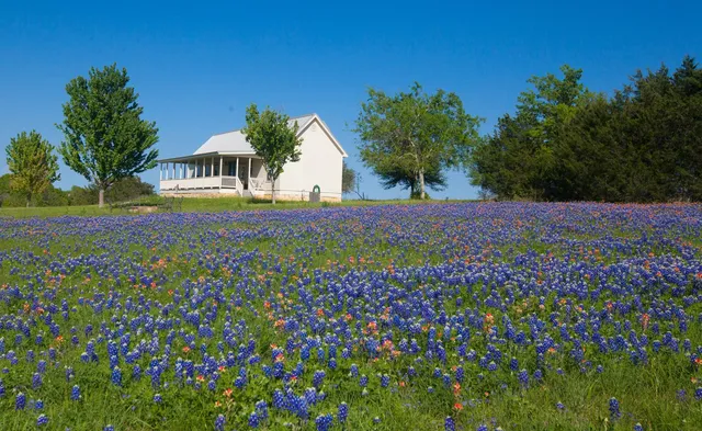 $1,800 | 3831 Meadow View Lane, Fayetteville, TX 78940