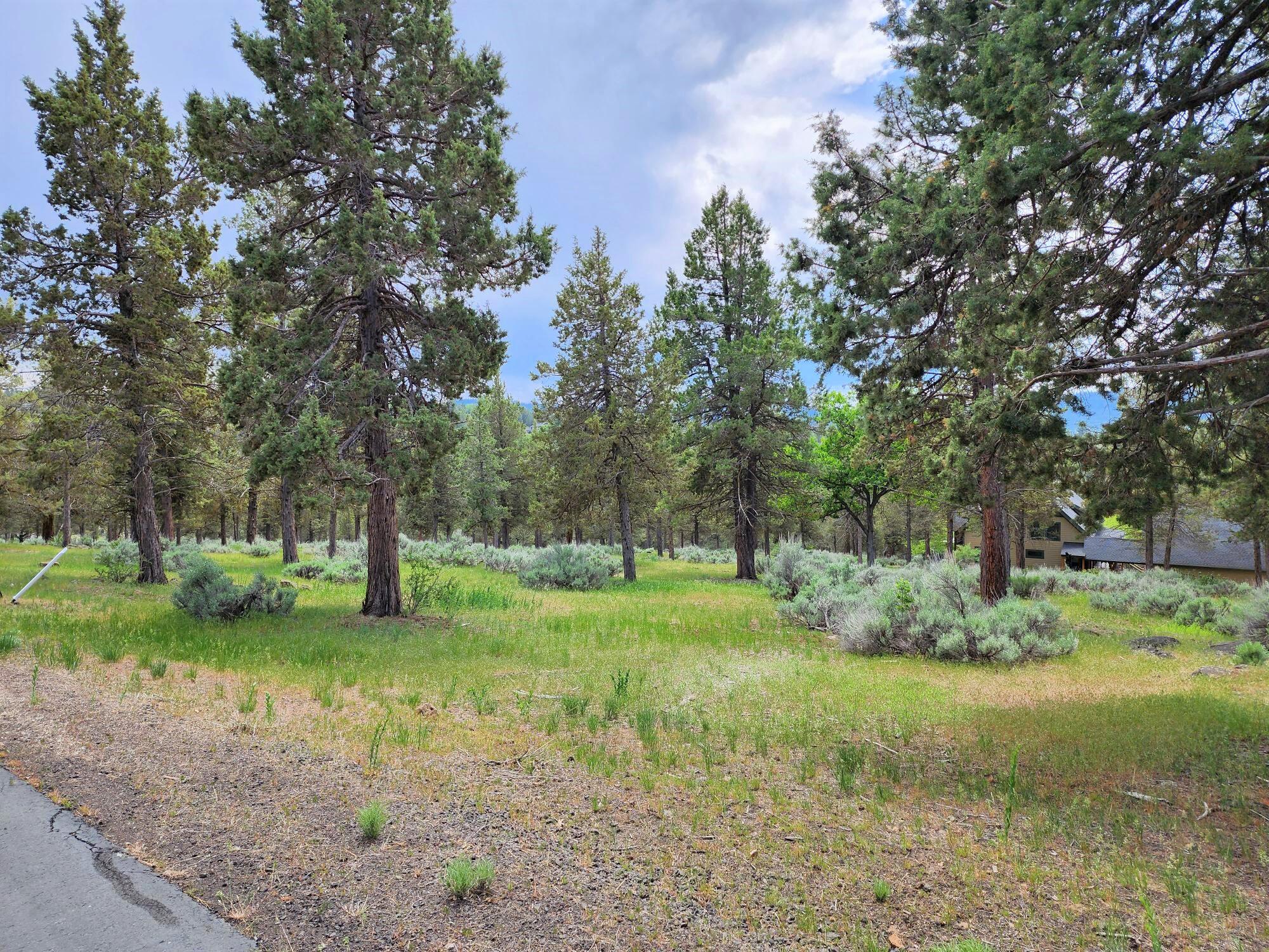 Lot 515 Dowitcher Road Klamath Falls, OR 97601 - Photo 1 of 12 Dowitcher Rd, Lot 515