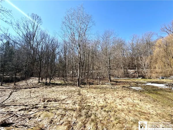 $79,900 | 10353 Highway 62, Persia, NY 14070