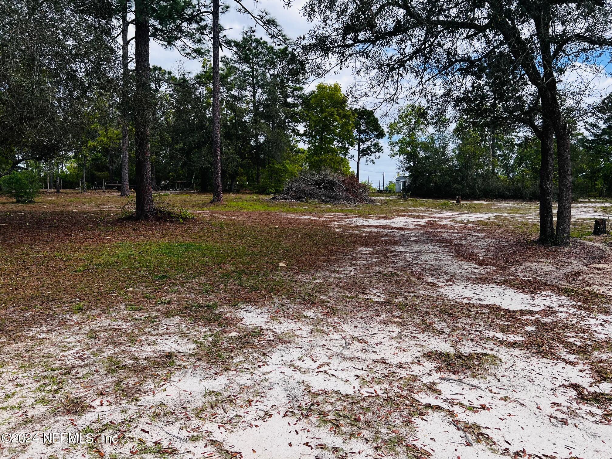 7635 Oak Forest Road Keystone Heights, FL 32656 - Photo 28 of 30 a view of a tree in the middle of a yard