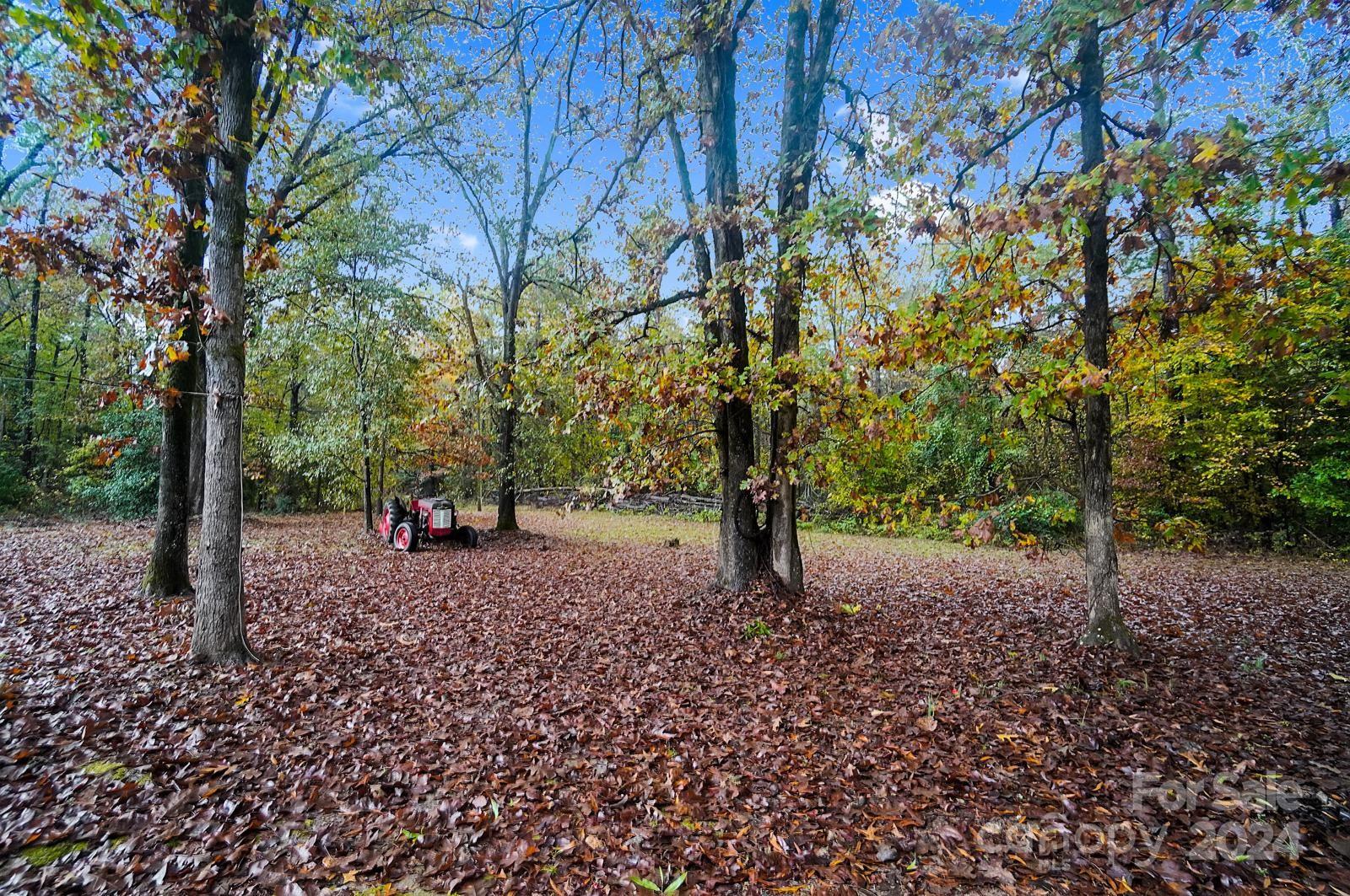 6010 Hightower Road Fort Lawn, SC 29714 - Photo 17 of 18 Gallery Image 17