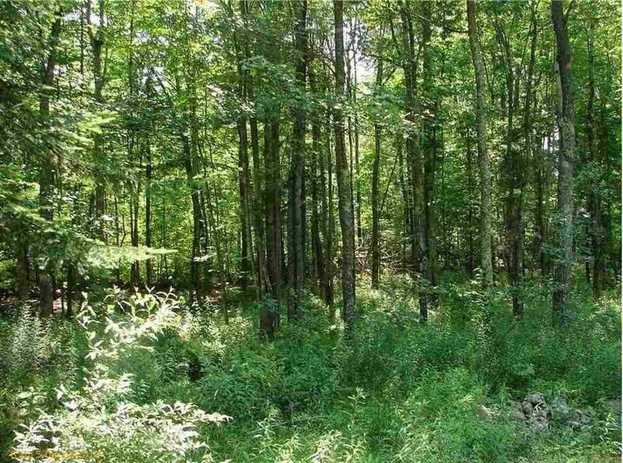 13 Reed Lane Parsonsfield, ME 04047 - Photo 8 of 15