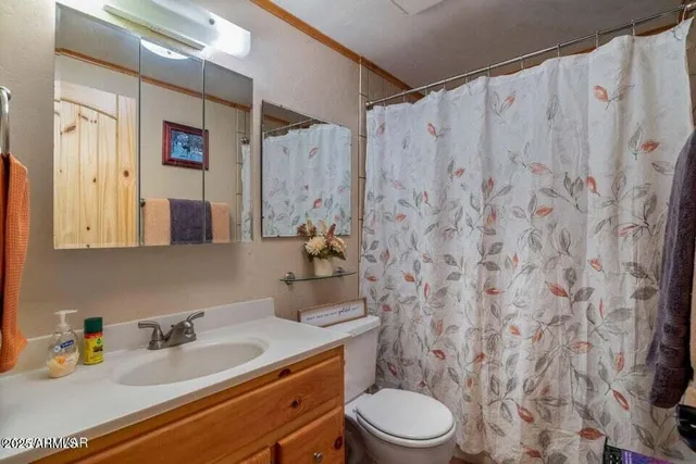 a bathroom with a sink a toilet and shower curtain