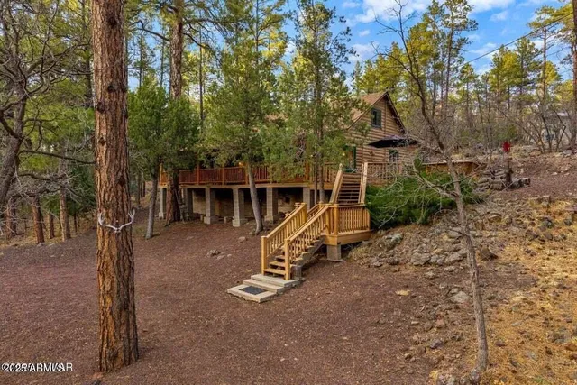 a view of a park with large trees