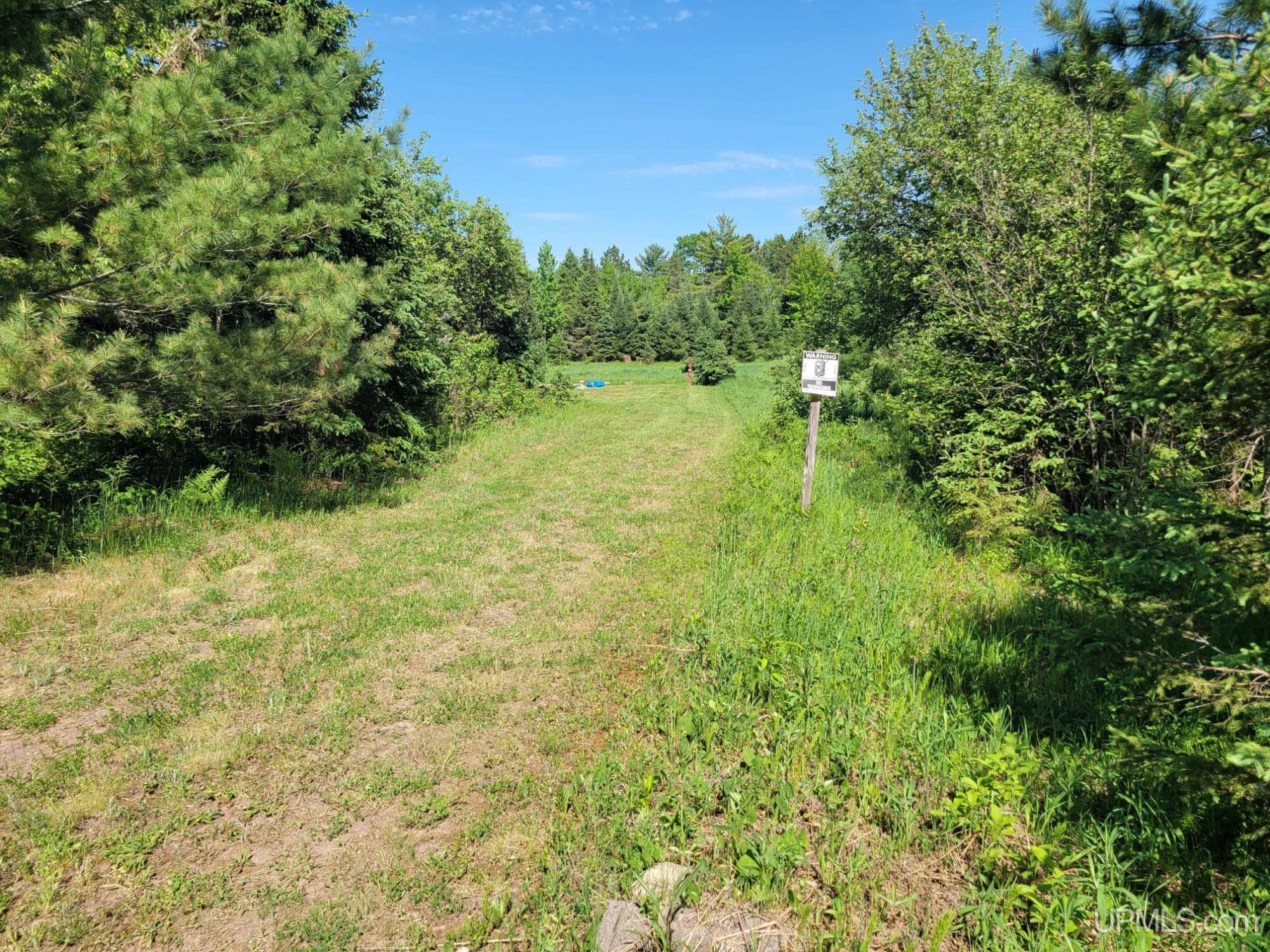 On Metos Road Trout Creek, MI 49967 - Photo 4 of 6