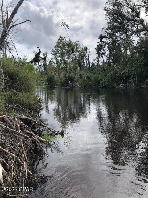 0 East Green Branch Road Youngstown, FL 32466 - Photo 3 of 5