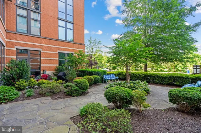a view of a garden with potted plants and large trees