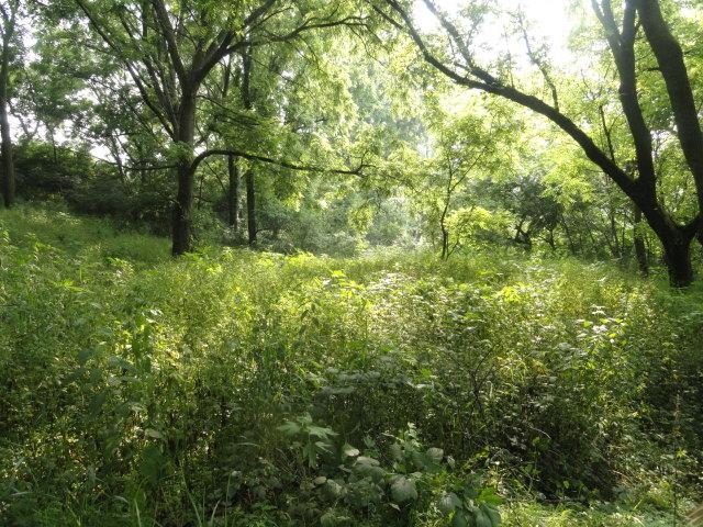 Lt 9 Cardinal Crest Lane New Glarus, WI 53574 - Photo 34 of 64