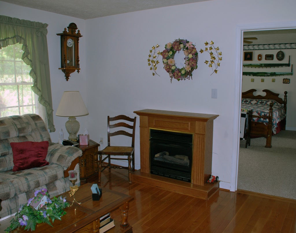 101 Windy Ridge Lane Lindside, WV 24951 - Photo 10 of 30 Gas Free-Standing Fireplace