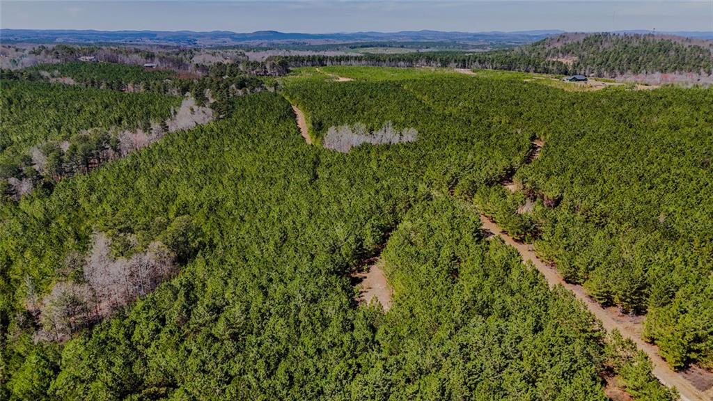 Lot 3 John Kay Road Taylorsville, GA 30178 - Photo 6 of 7 a view of a lush green forest with trees and some houses