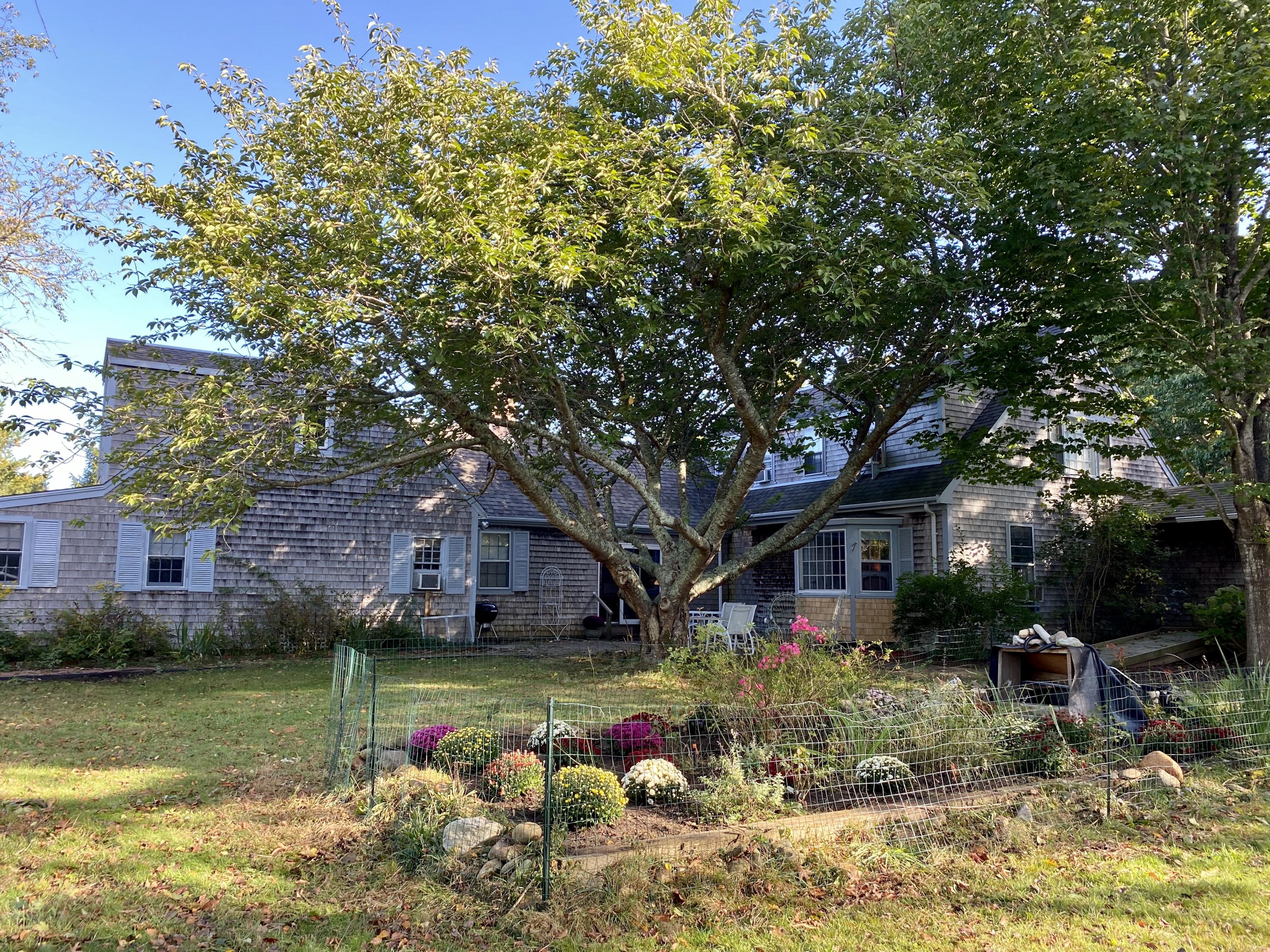 49 Old Courthouse Road West Tisbury, MA 02568 - Photo 3 of 37 IMG_7519