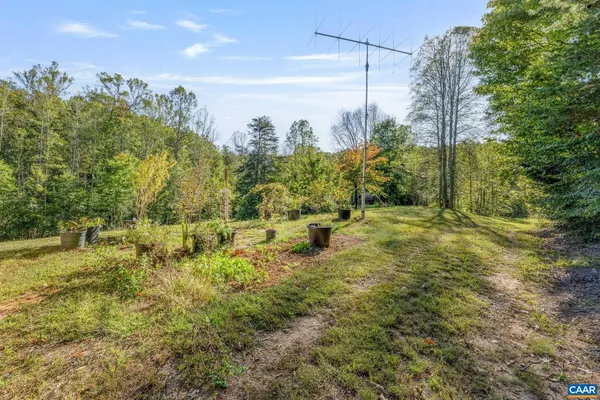 a view of a yard with trees