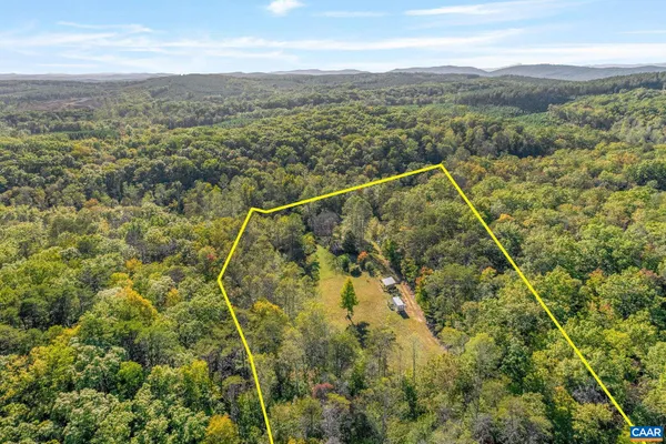 a view of a city with lush green forest