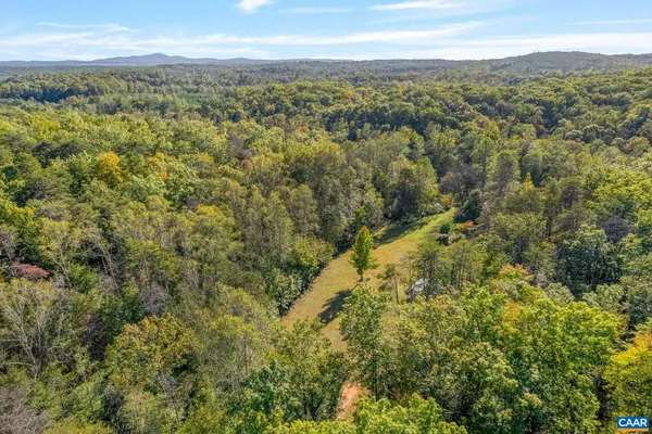 a view of a city with lush green forest