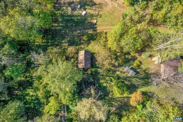 a view of a plants and large trees