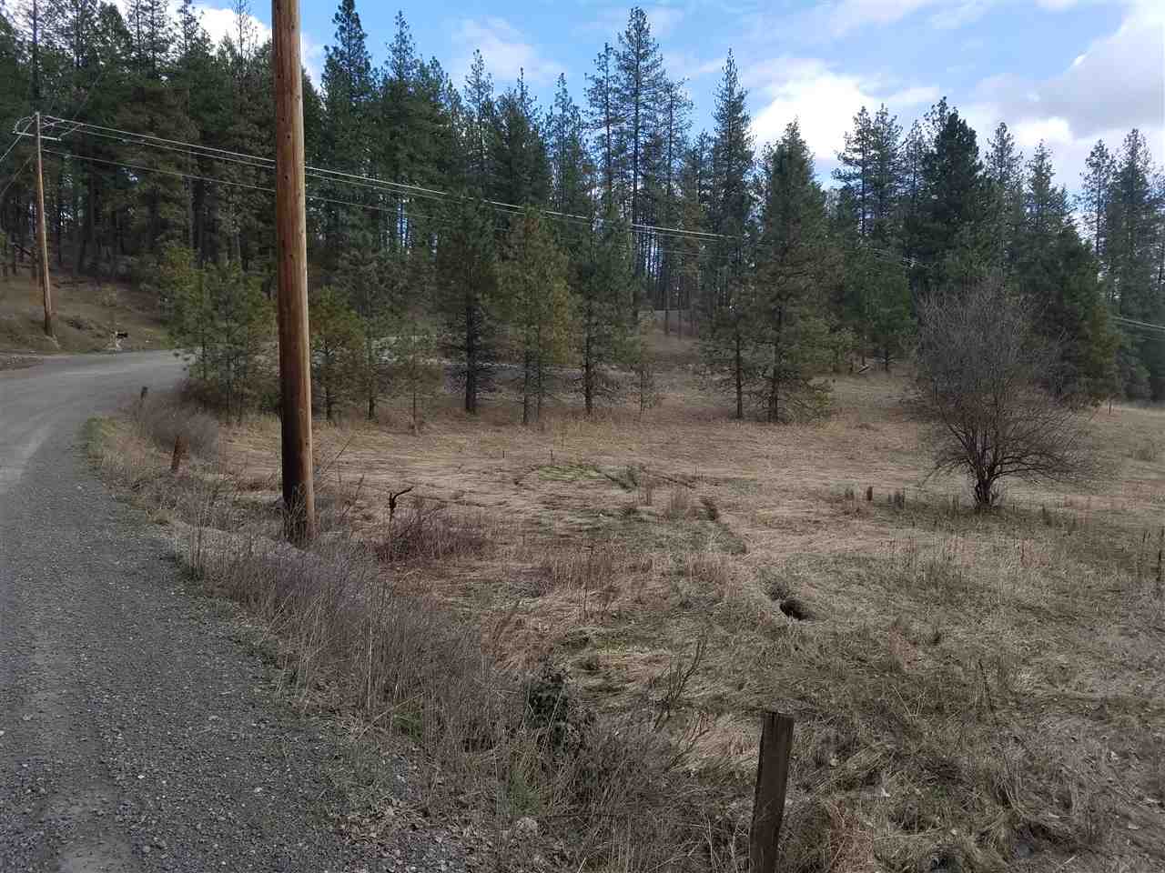 21400 North Madison Road Mead, WA 99021 - Photo 2 of 20