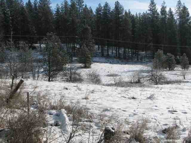 21400 North Madison Road Mead, WA 99021 - Photo 14 of 20