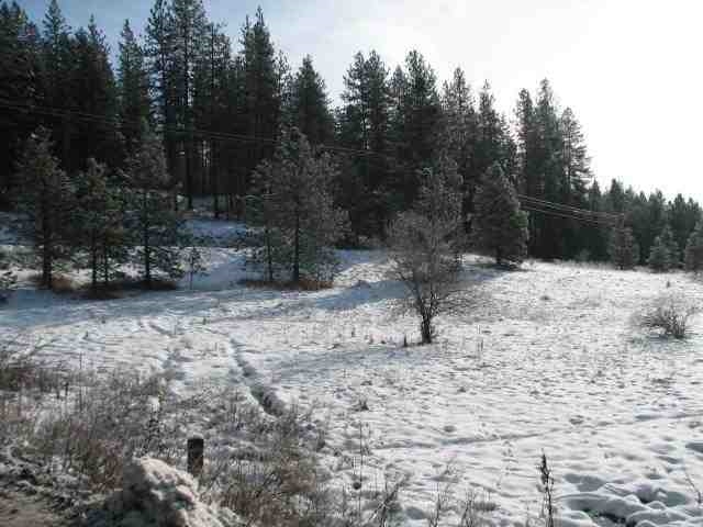 21400 North Madison Road Mead, WA 99021 - Photo 17 of 20
