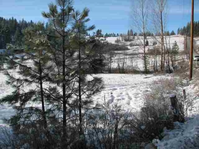 21400 North Madison Road Mead, WA 99021 - Photo 18 of 20