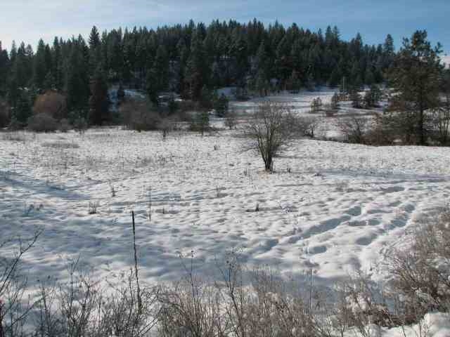 21400 North Madison Road Mead, WA 99021 - Photo 19 of 20