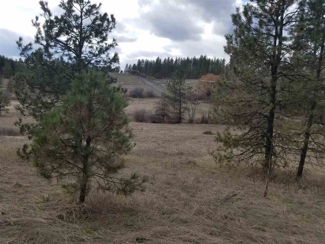 21400 North Madison Road Mead, WA 99021 - Photo 4 of 20
